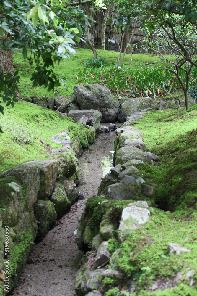 Moss garden in Ginkakuji Temple in Kyoto, Japan Moss garden in Ginkakuji Temple in Kyoto, Japan