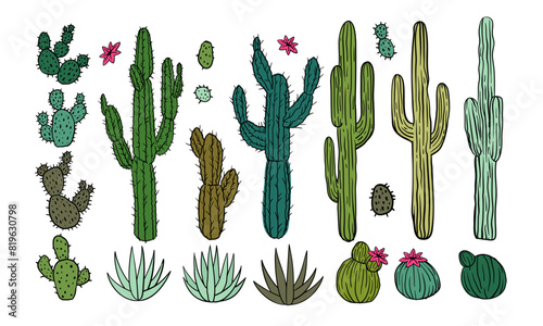 Cactus desert icon. Flower Arizona symbol, Mexican plant, cacti blossom, Mexico prickly, Africa botany. Western bush, safari or weed west and southwest. Hand drawn isolated element vector illustration