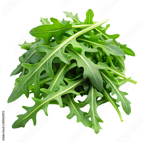 ruccola leaves on transparent background photo
