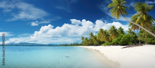 A picturesque seaside setting with a sandy beach clear turquoise waters lush palm trees and a sunny blue sky filled with fluffy white clouds perfect for a summer holiday Ideal for a copy space image