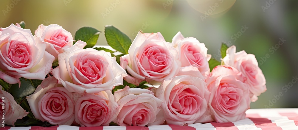 Romantic concept with pink and white striped roses set against a blurred background invoking a sense of aromatherapy ideal for a copy space image