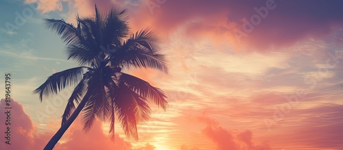 Silhouette of a tropical palm tree against a sunset sky with abstract clouds creating a serene image for summer vacation and nature travel adventures Vintage filter adds a classic touch to the color