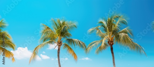 Tropical scene with straw umbrellas lush palm trees and a vibrant blue sky in summer create a picturesque view with copy space image