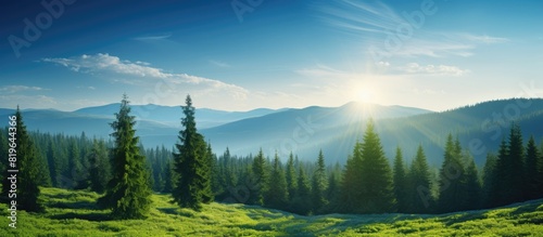 Green spruce trees stand tall under the rays of the sun set against a stunning forest landscape with a vibrant blue sky all in a captivating copy space image photo