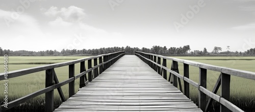 A wooden bridge spans over a lush green rice field against a natural backdrop captured in a monochrome copy space image