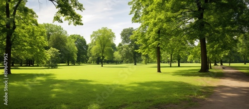Fototapeta Naklejka Na Ścianę i Meble -  Outdoor photo of a beautiful green park in summer with plenty of available copy space image