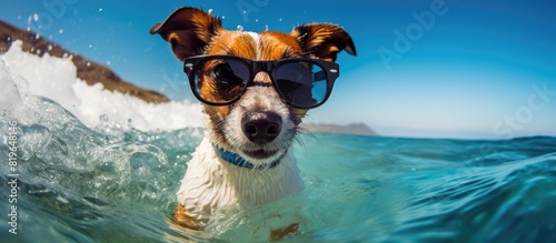 A Jack Russell dog with sunglasses and a flower chain surfs a wave in the ocean during summer vacation creating a picturesque copy space image © Ilgun