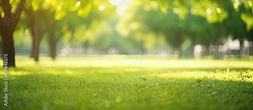 Blurred bokeh background of a green park with copy space image
