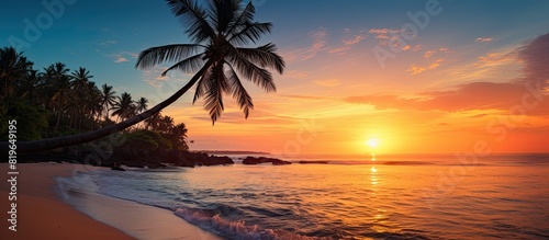 A serene palm tree overlooks a picturesque tropical beach with crystal clear waters golden sands and a stunning sunset The scene offers a tranquil setting with ample copy space image