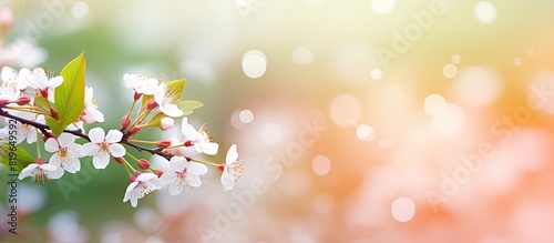 Spring bokeh in the background. Copy space image. Place for adding text and design