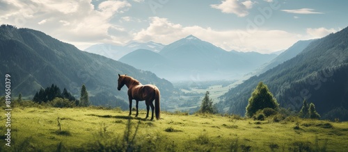 Fototapeta Naklejka Na Ścianę i Meble -  Scenic view of a horse grazing in a lush meadow with abundant greenery featuring a vast landscape and ample copy space image