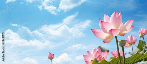 A vibrant pink lotus flower with lush green leaves set against a background of blue sky and clouds creating a tranquil and serene scene in a field with copy space image photo