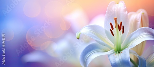 A white lily up close with a blurred colorful background showcasing a shallow depth of field The flower s petal in focus with copy space image