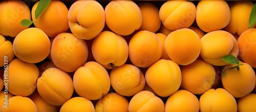 Close up of fresh apricots ripe and ready to eat displayed in a box at a market with copy space image photo