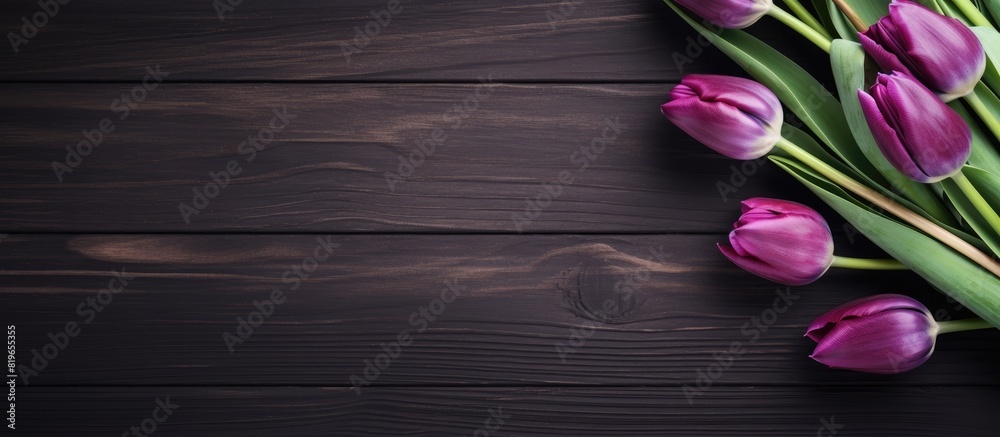 Purple spring tulip bouquet on black wooden backdrop with copy space image for Mothers Day and International Women s Day