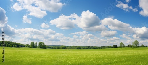 Fototapeta Naklejka Na Ścianę i Meble -  Landscape with fresh green vegetation from the forest and meadows under a sky filled with fluffy white clouds ideal for a copy space image