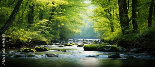 Forest river featuring soft flowing water captured with a slow shutter speed in the woods ideal for a copy space image