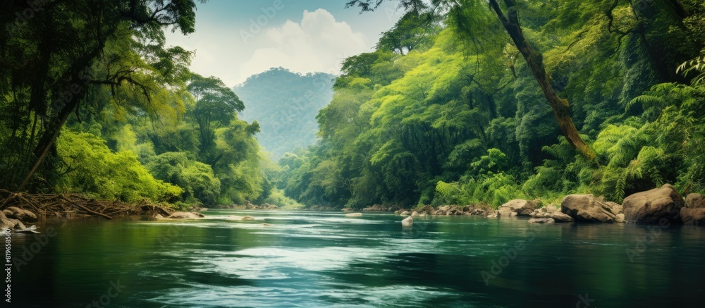 Beautiful landscape of a river in the jungle with a copy space image Beautiful landscape of a river in the jungle with a copy space image