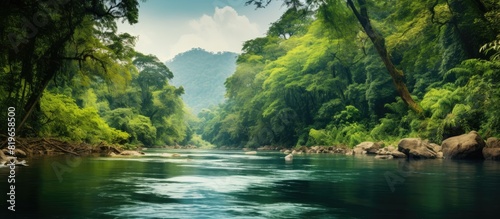 Beautiful landscape of a river in the jungle with a copy space image