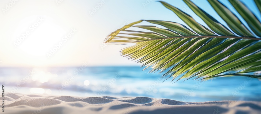 Tropical beach setting with a palm leaf against a blurred background of sunlight and waves for a vintage style image representing summer vacation and business travel featuring a copy space image