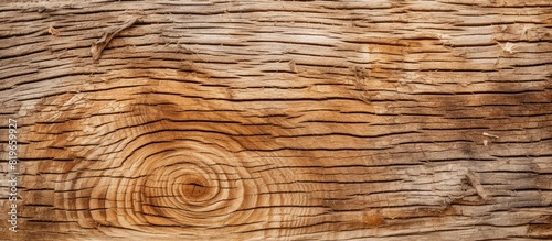 The texture of coniferous wood with the bark detail in the background allowing for a copy space image