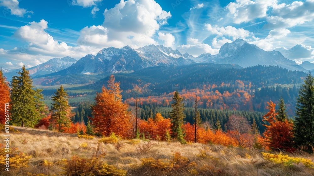 High-quality sunny panorama mountain autumn landscape photography on a beautiful day High-quality sunny panorama mountain autumn landscape photography on a beautiful day