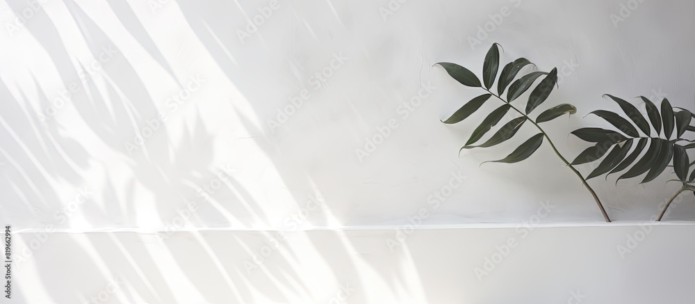 A leaf shadow from tropical trees creates a dappled effect on a white wall perfect as a background for design with copy space image A leaf shadow from tropical trees creates a dappled effect on a white wall perfect as a background for design with copy space image