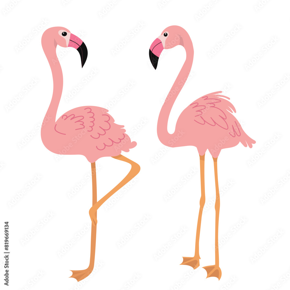 flamingo on white background vector