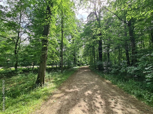 fantastic nature path in Altleuben/Dresden (Saxony, Germany)