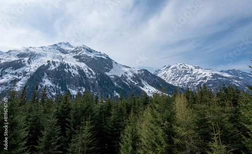 Mountain landscape with blue sky mountains and spruce trees in foreground