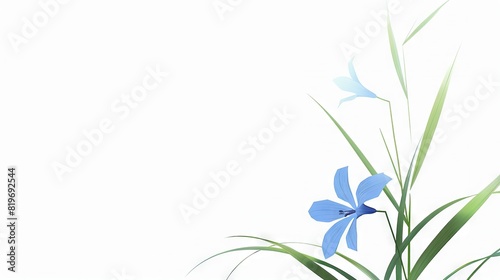   A blue flower with green stems in the foreground against a white background