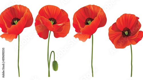   Group of three red flowers sitting on white background with green center