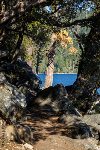 a tunnel view at a hiking path directly at the pinecrest lake in Stanislaus national forest, california photo