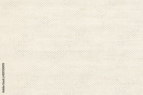 embroidered luxury fabric texture background close up, detailed light neutral color woven linen backdrop, furniture cloth textile material, modern cotton clothing weave pattern
