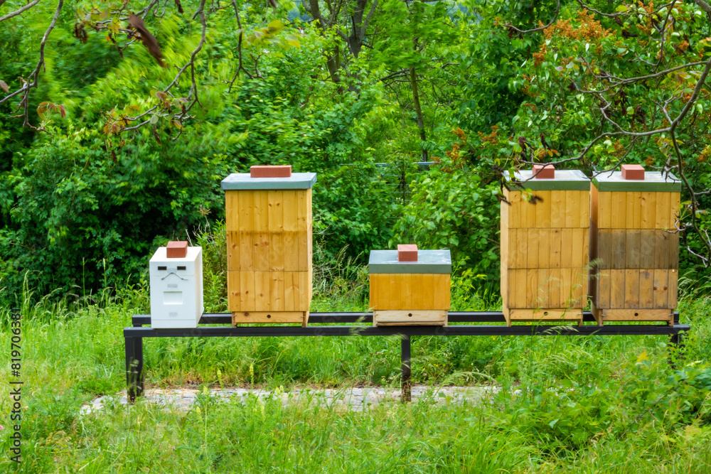Yellow bee wooden hives in the garden. Collection of nectar Yellow bee wooden hives in the garden. Collection of nectar