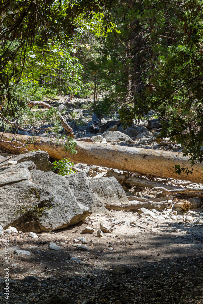 a fallen tree lays over the Yosemite Fall River at the national park, california a fallen tree lays over the Yosemite Fall River at the national park, california