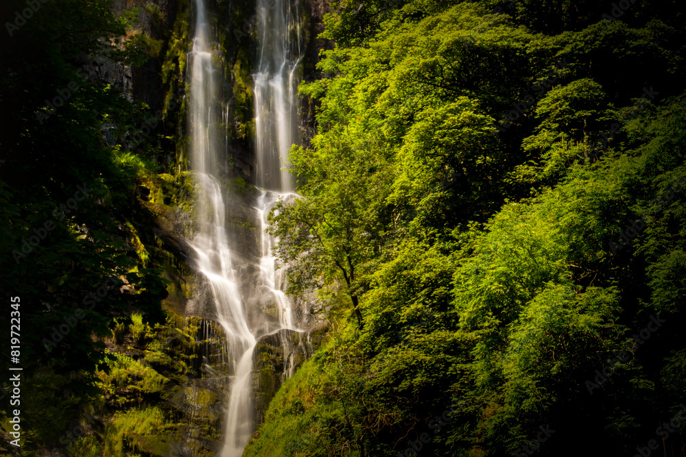 Obraz premium Waterfall In Woodland