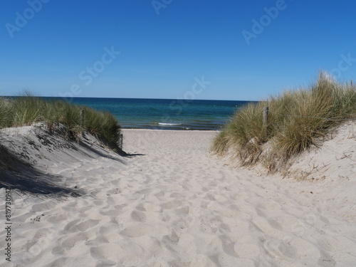 Weg zum Stand durch die Dünen an der Ostsee mit Vegetation bei Graal-Müritz, Deutschland