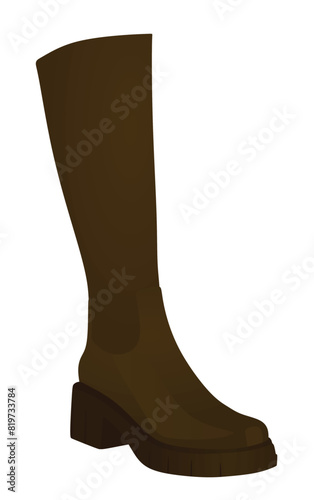 Brown  woman ankle shoe. vector illustration
