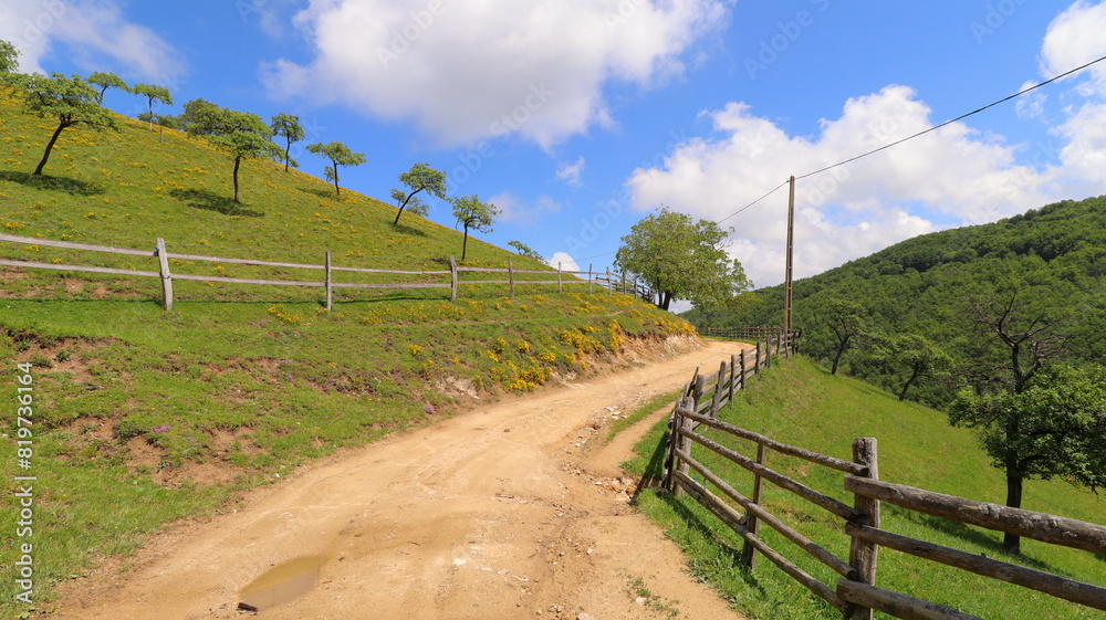 Fototapeta premium road to the mountains