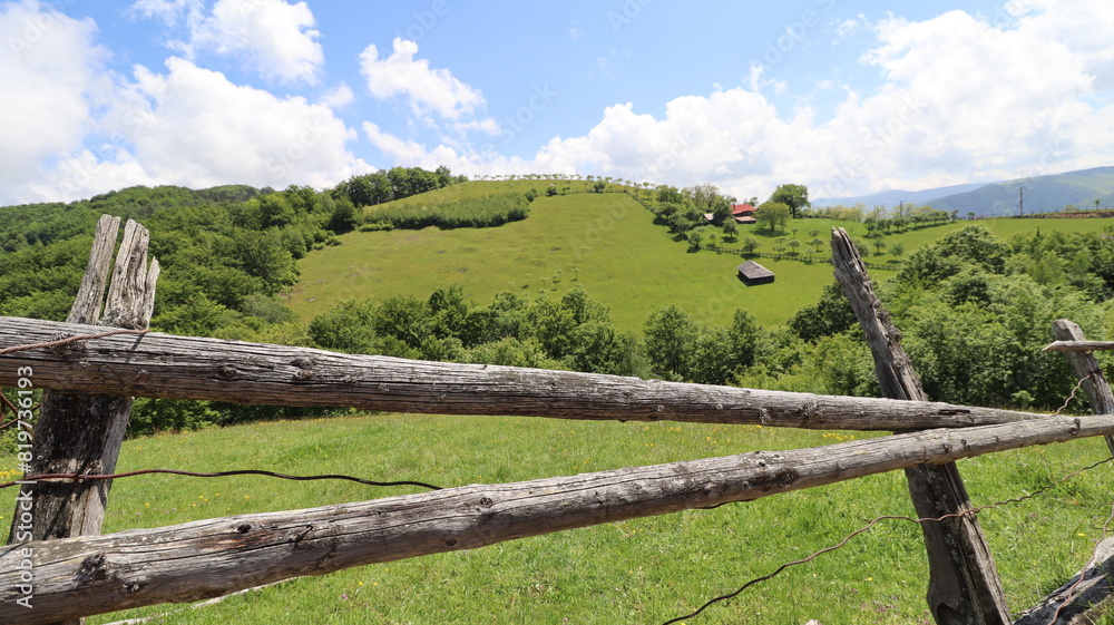 fence in the field