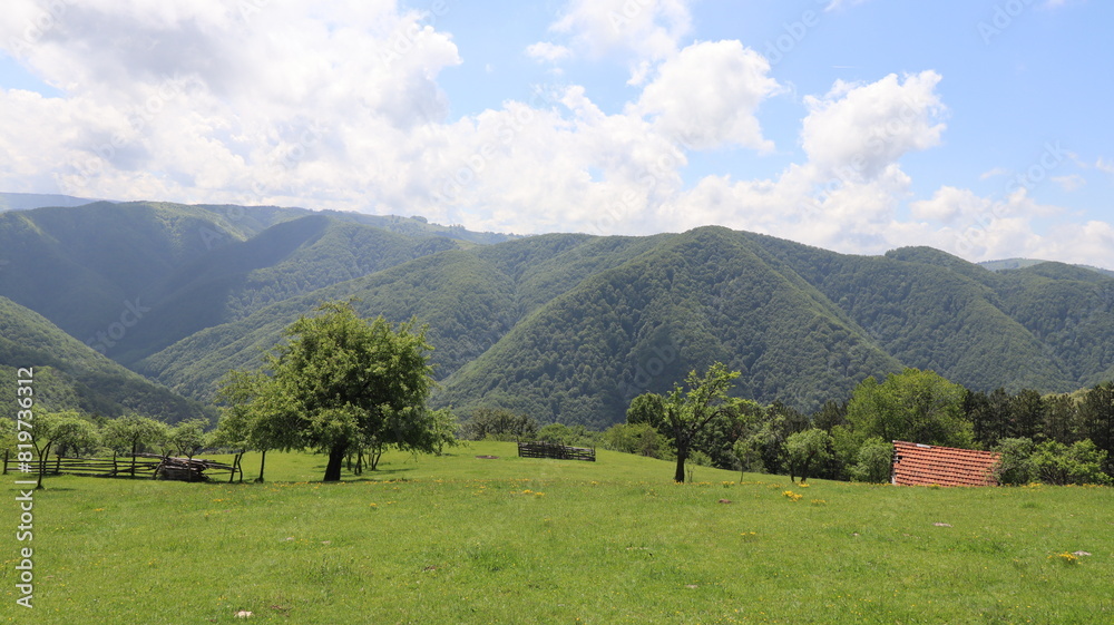 landscape in the mountains landscape in the mountains