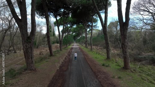 Drone footage of man walking on a paved pathway between trees at Migliarino Regional Park in Italy photo