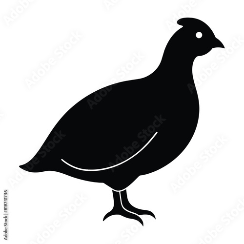 Quail silhouette, Quail Vector illustration, California quail silhouette icon logo, Quail isolated on white background