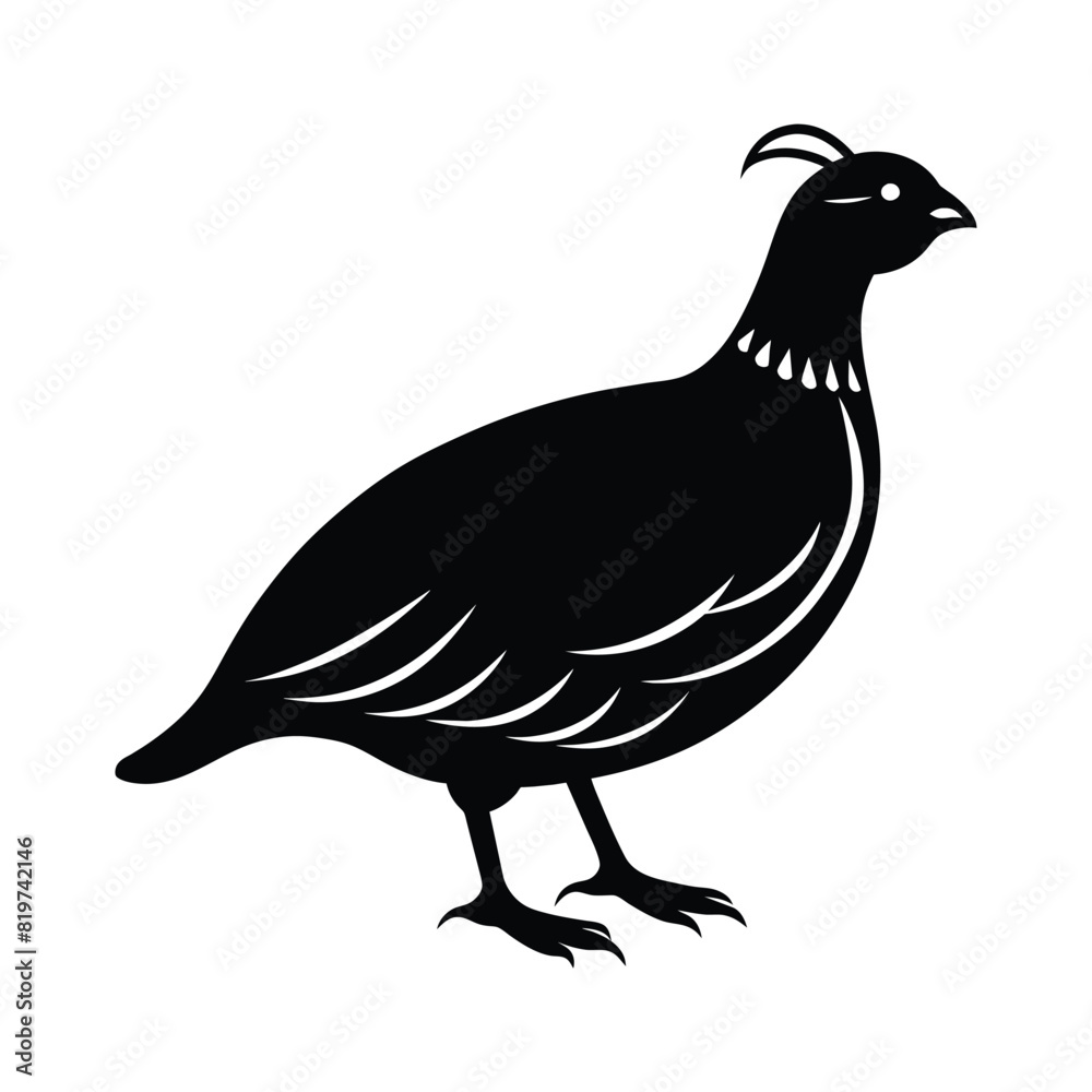 Fototapeta premium Quail silhouette, Quail Vector illustration, California quail silhouette icon logo, Quail isolated on white background