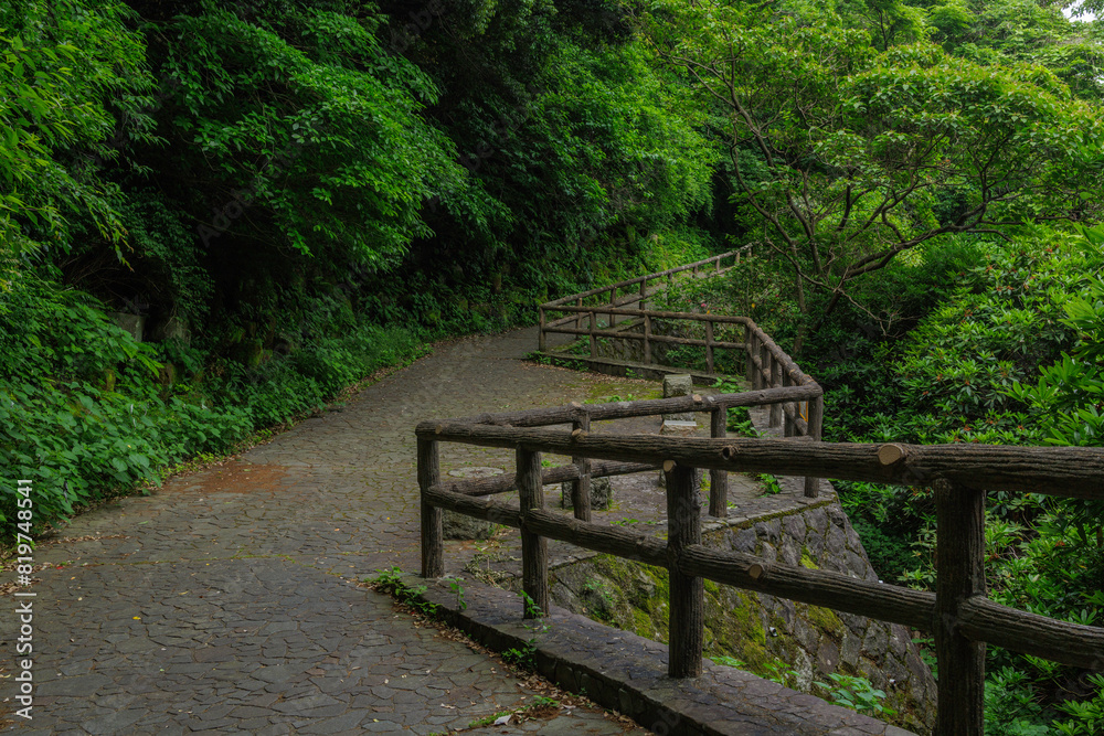 緑に囲まれた遊歩道、緑地公園 緑に囲まれた遊歩道、緑地公園