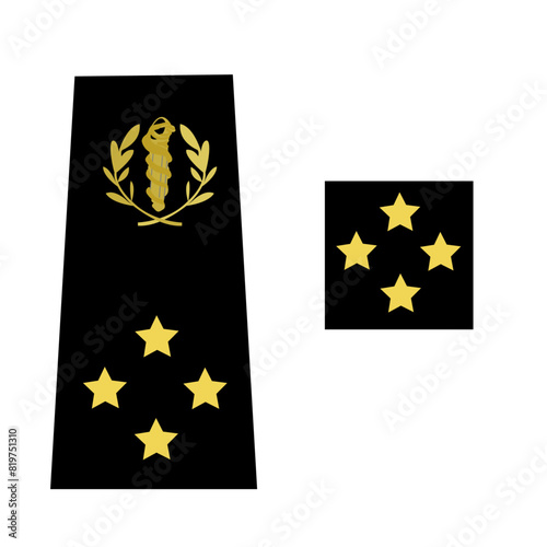 Galons de l'armée de terre française du personnel de santé des armées: Médecin militaire: Médecin général des armées