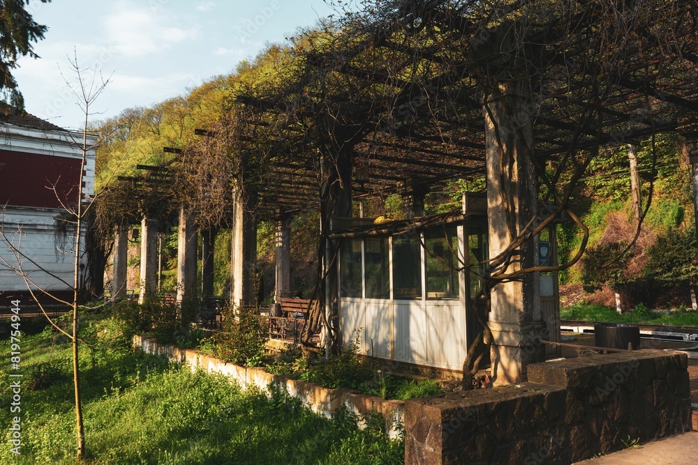 Abandoned small cabin surrounded with lush greenery Abandoned small cabin surrounded with lush greenery