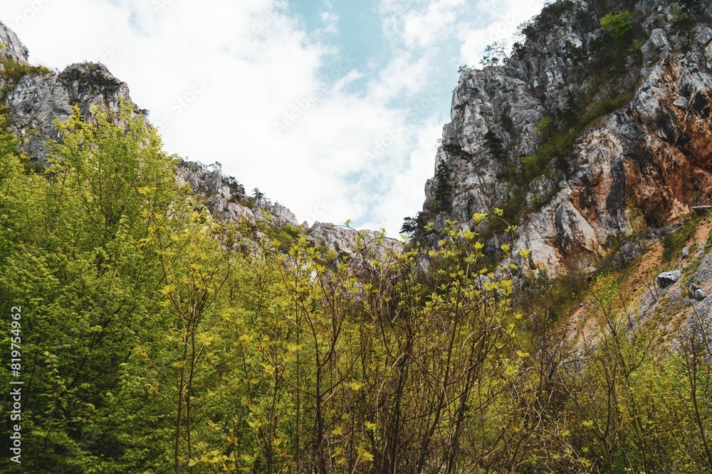 Breathtaking view of a rugged landscape featuring a cliff face, rocky terrain, and a dense forest Breathtaking view of a rugged landscape featuring a cliff face, rocky terrain, and a dense forest