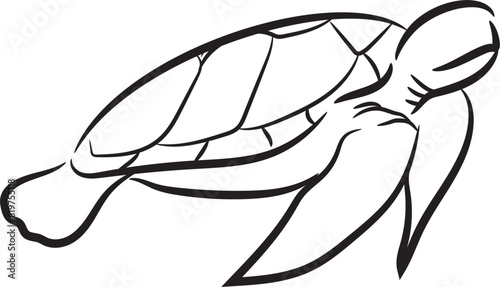 Vector illustration turtle hand sketch icon sketch vector line